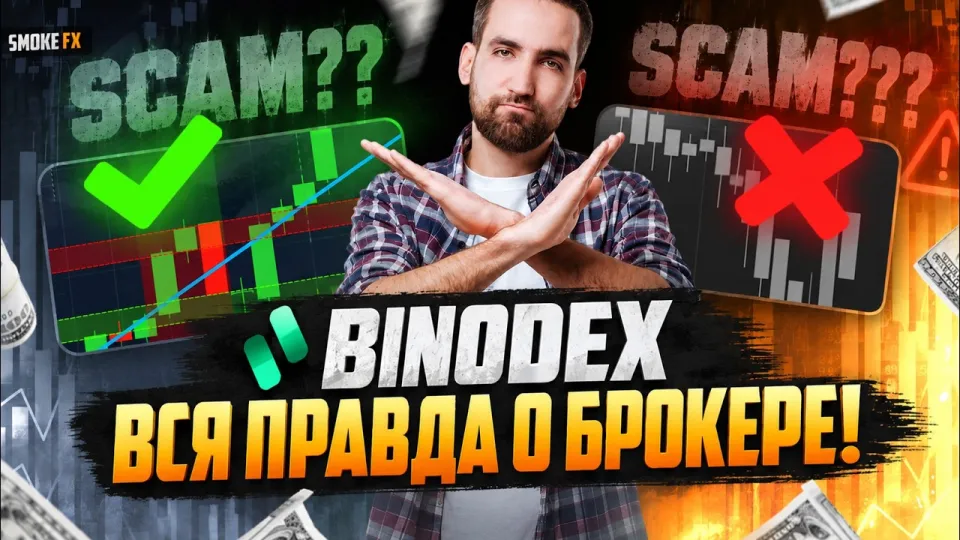 Что такое трейдинг и как начать торговать новичку у брокера Binodex